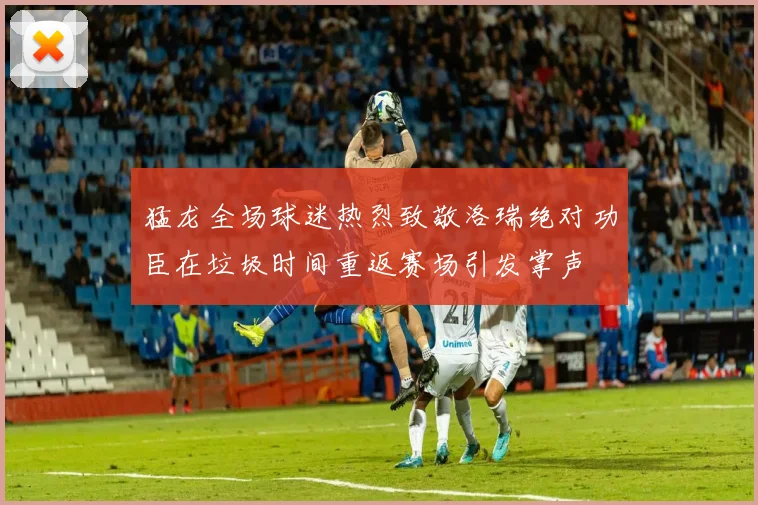 猛龙全场球迷热烈致敬洛瑞绝对功臣在垃圾时间重返赛场引发掌声