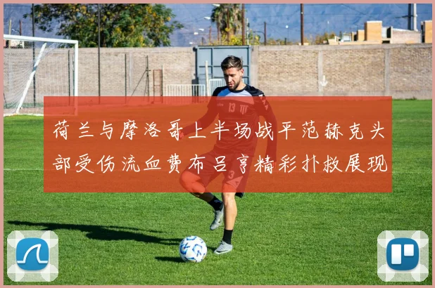荷兰与摩洛哥上半场战平范赫克头部受伤流血费布吕亨精彩扑救展现实力