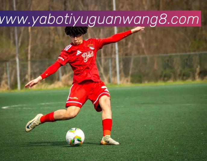 亚博体育官网平台生态图